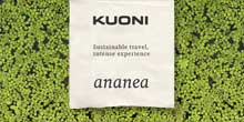 ananea