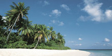 Beach All Inclusive
