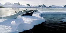 Antarctica Cruise holidays