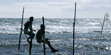 Indian Ocean Tours