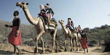 Family Holidays in Africa