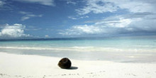 Australia and Pacific