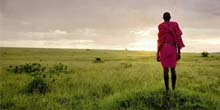 Specialist Safaris