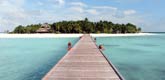 Maldives offers