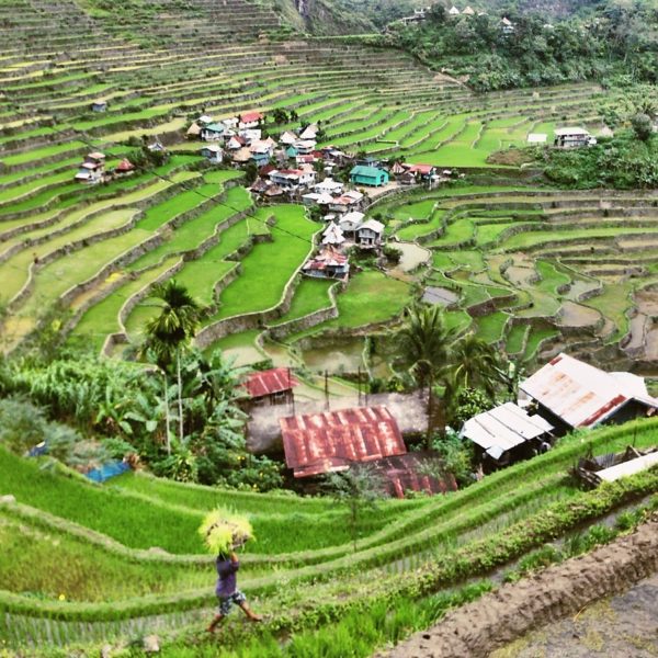 Batad Rice Terrace