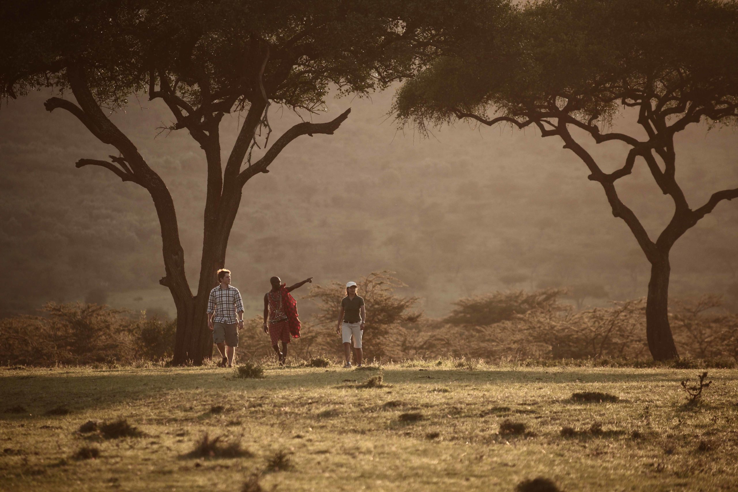 Mara Bushtops guided walking safari
