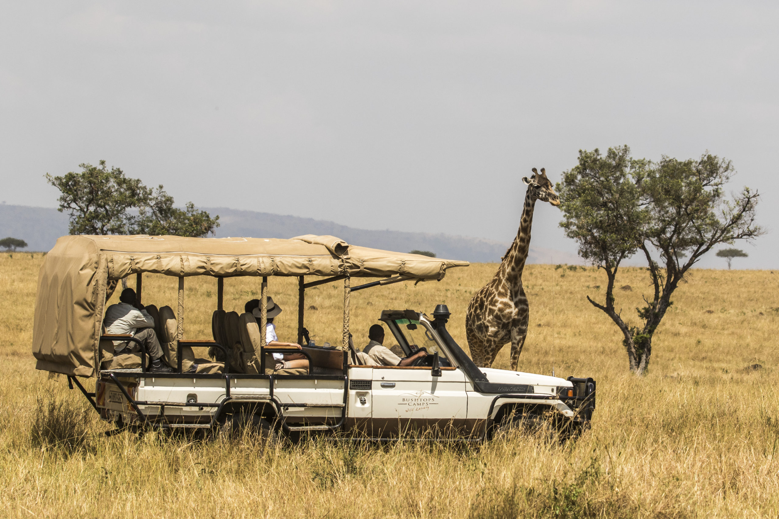 How to plan your dream family safari - Alfred