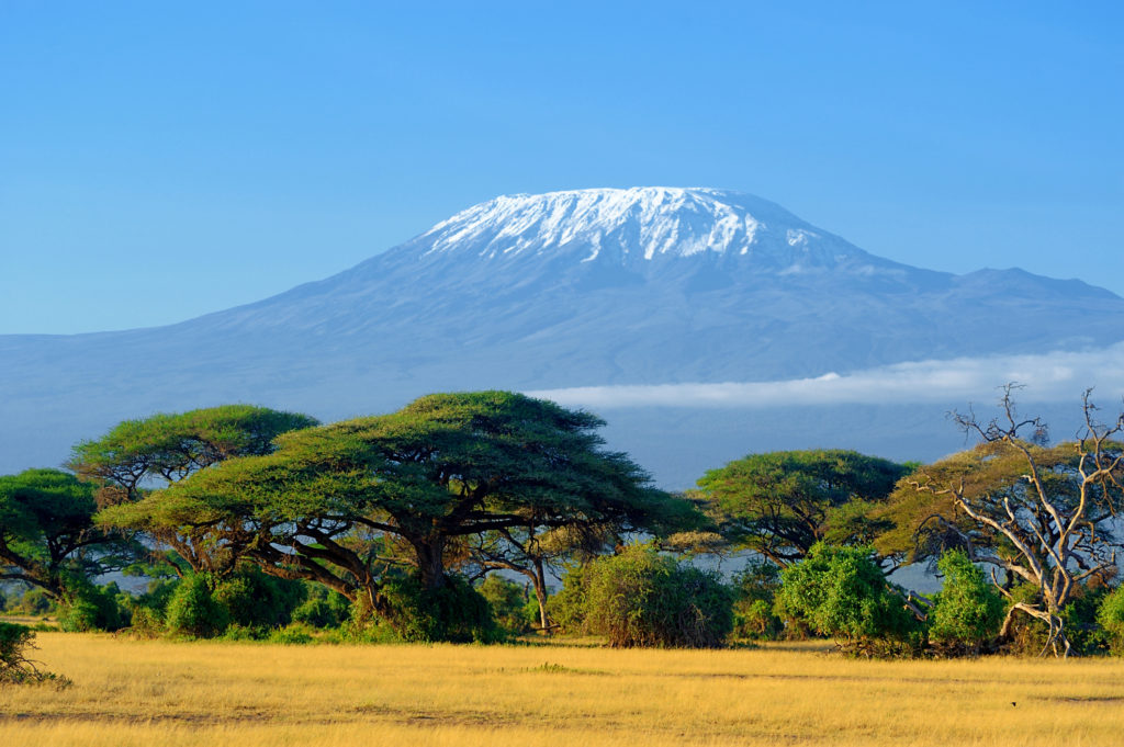 Experience beautiful Tanzanian landscape like this panorama of snow-capped Kilimanjaro when you take a tailor-made holiday with Alfred&.