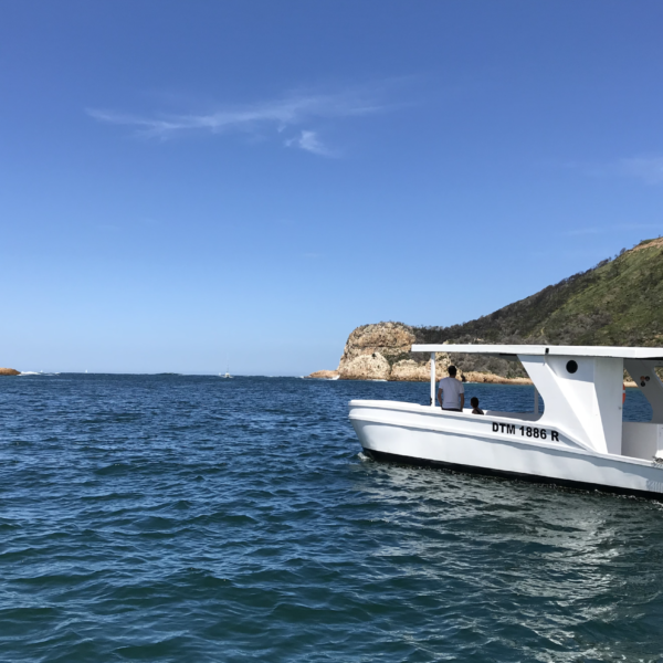 Oyster boat cruising out of Knysna, South Africa
