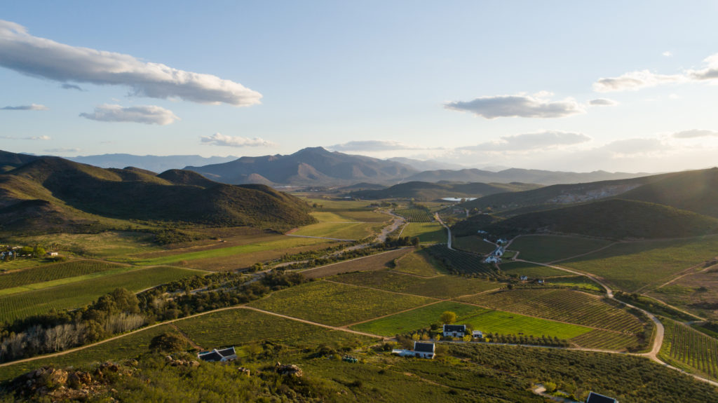 Experience beautiful South African landscape like the wine country in Robertson when you take a tailor-made holiday with Alfred&.