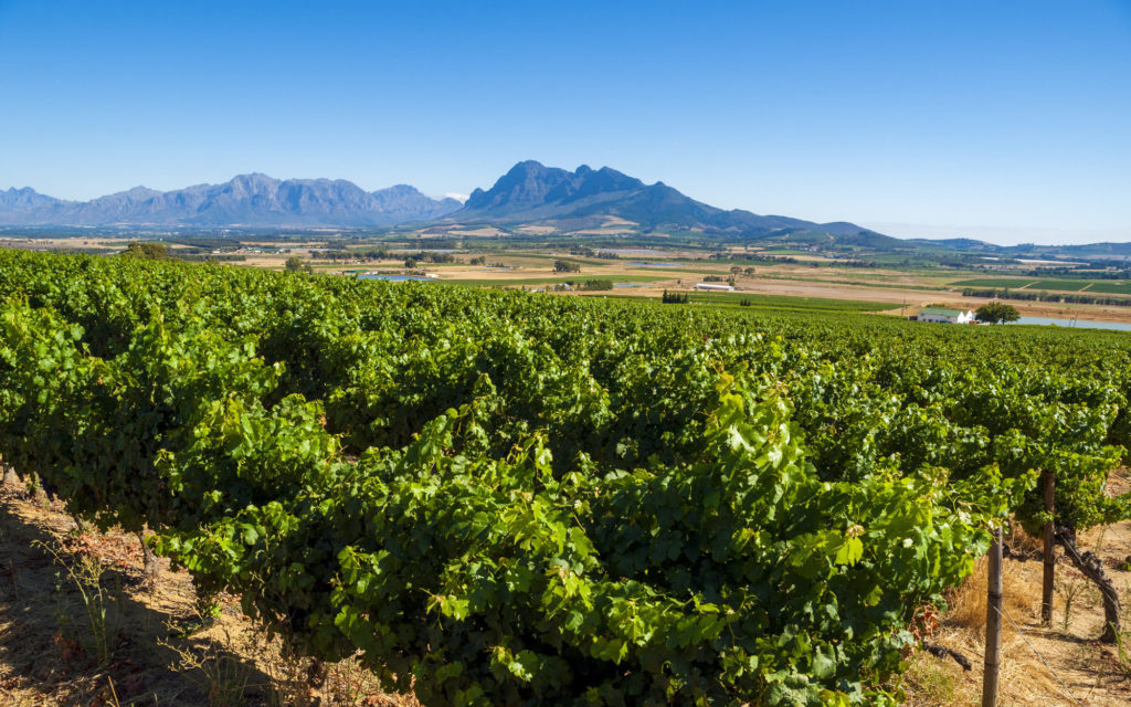 Experience beautiful landscape like this vineyard in Franschhoek, South Africa, when you take a tailor-made holiday with Alfred&.
