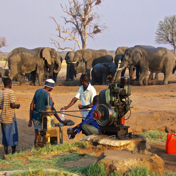 The pump run, Bomani Tented camp, Zimbabwe