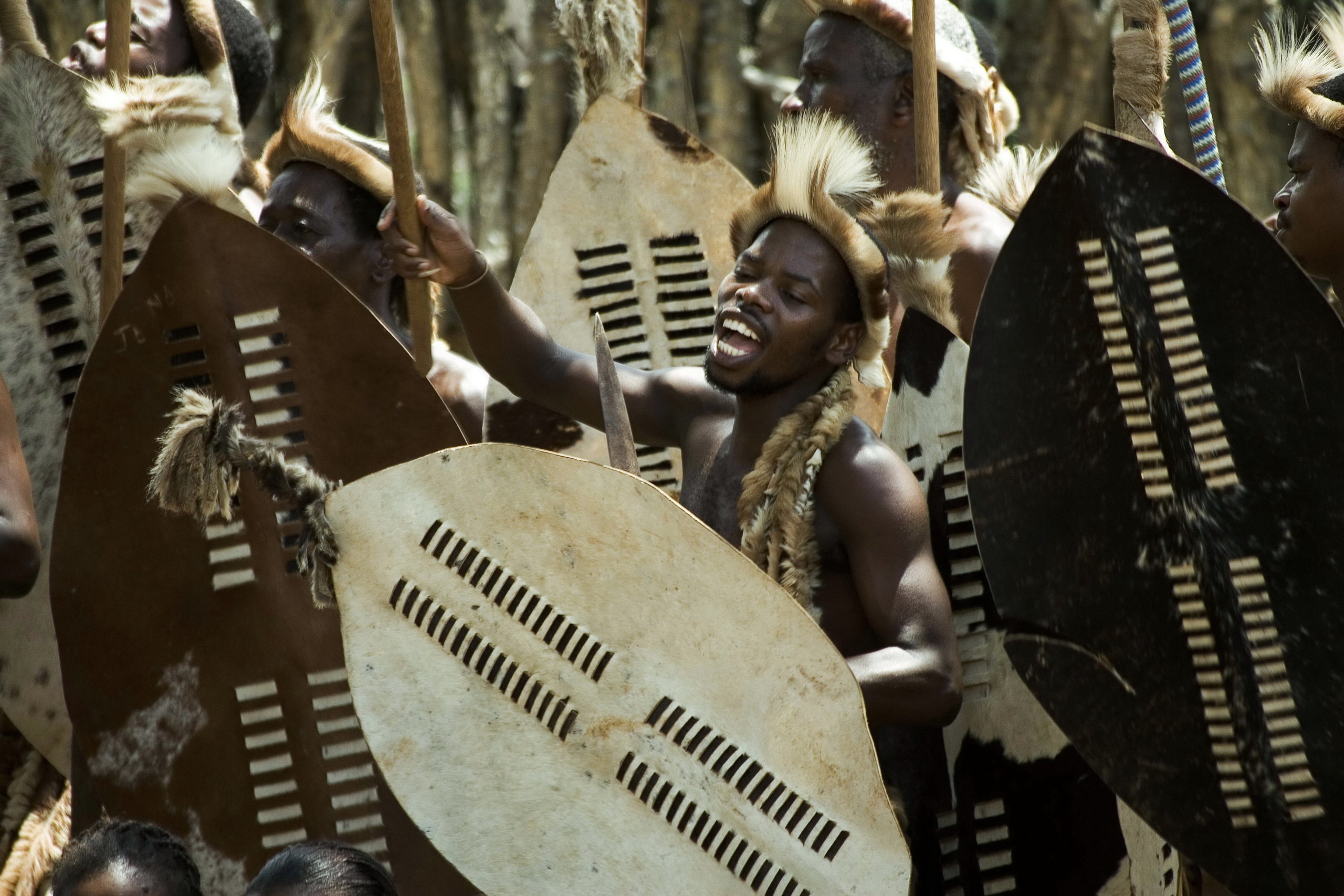 Zulu warrior dance in South Africa