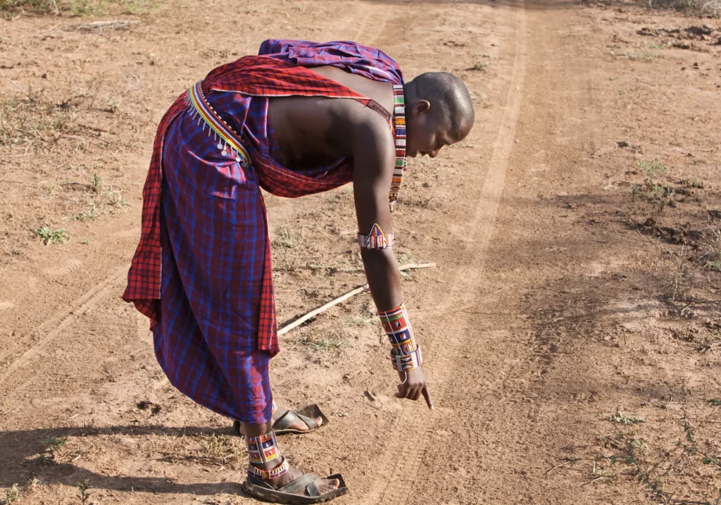 Maasai walking safari guide