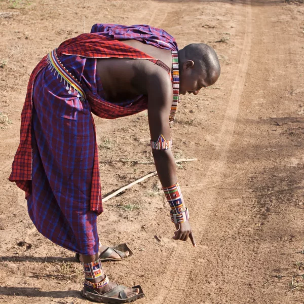Maasai walking safari guide