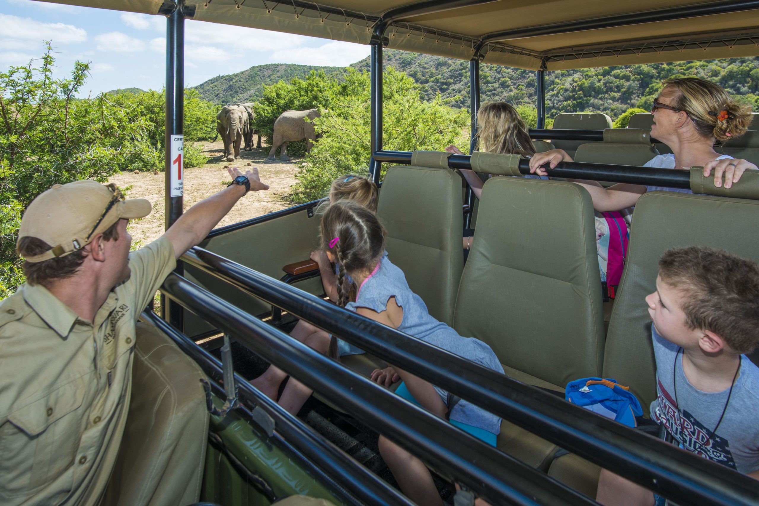 Experience a remarkable South African safari like this family-focused game-drive when you take a tailor-made holiday with Alfred&.