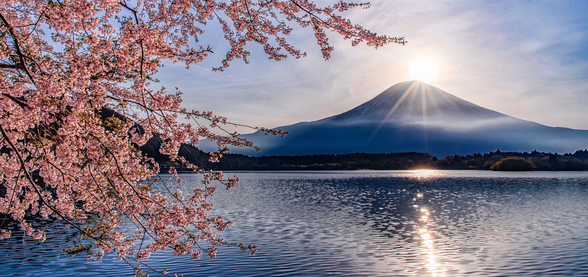 Experience extraordinary Japanese sights like this stunning view of Mount Fuji looming over a lake when you take a tailor-made holiday with Alfred&.