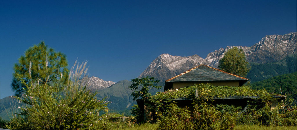 Experience extraordinary Indian landscapes like these snowcapped mountains surrounding Palampur when you take a tailor-made holiday with Alfred&.