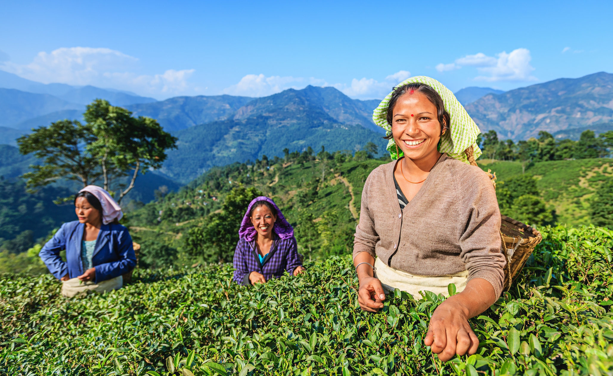 Meet friendly Indian locals like these tea pickers in Darjeeling when you take a tailor-made holiday with Alfred&.