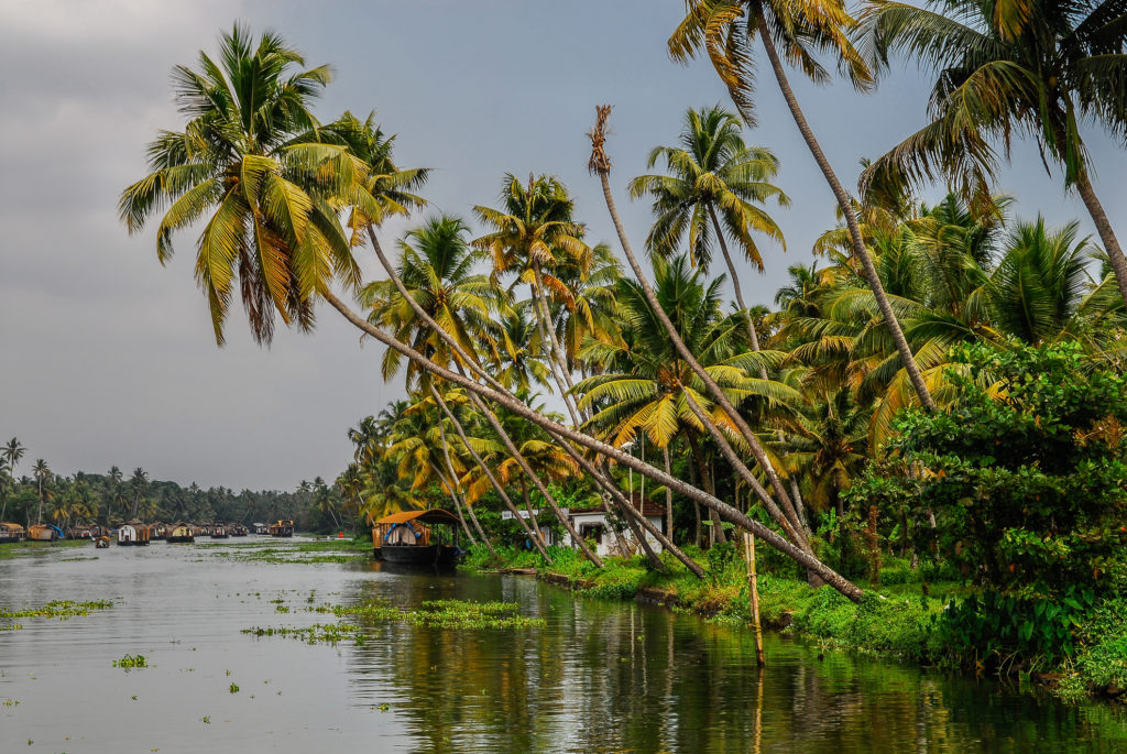 Witness authentic Indian landscapes like these palm-fringed backwaters in Kumarakom when you take a tailor-made holiday with Alfred&.