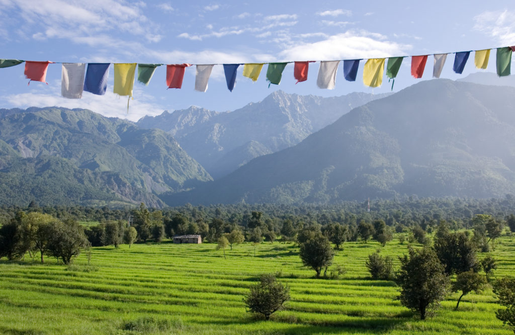 Discover remarkable Indian sights like these Dharamshala prayer flags among the Himalayas when you take a tailor-made holiday with Alfred&.
