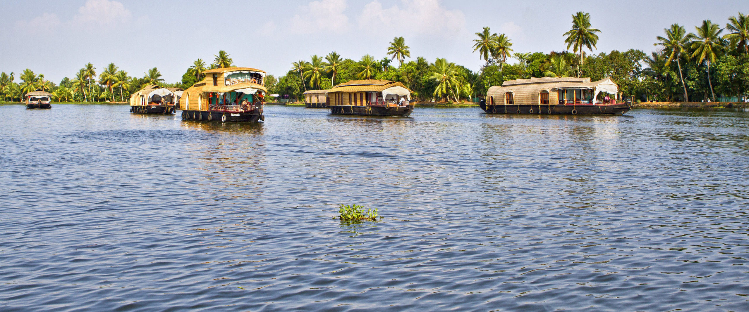 Discover remarkable Indian landscape like these Keralan backwaters when you take a tailor-made holiday with Alfred&.