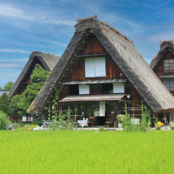 Traditional gassho-zukuri farmhouses in Shirakawa-go, Japan