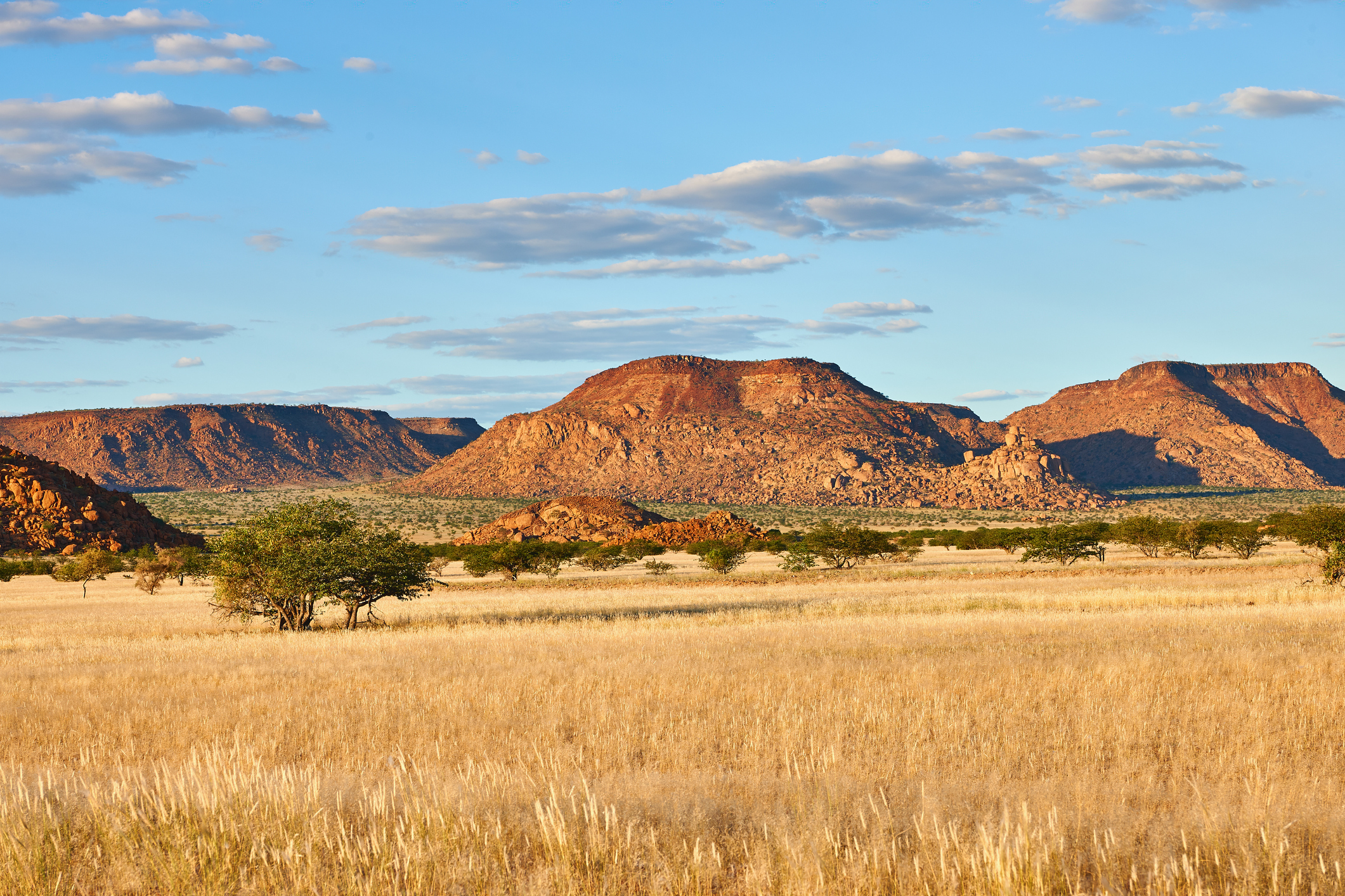 Rugged Damaraland, Namibia