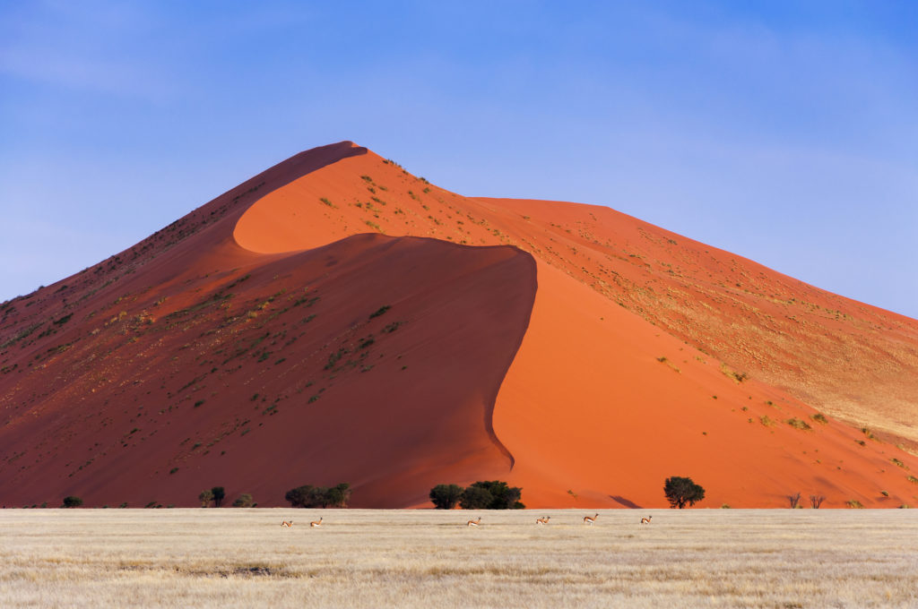 Sand dunes of the Namib Desert, Sossusvlei