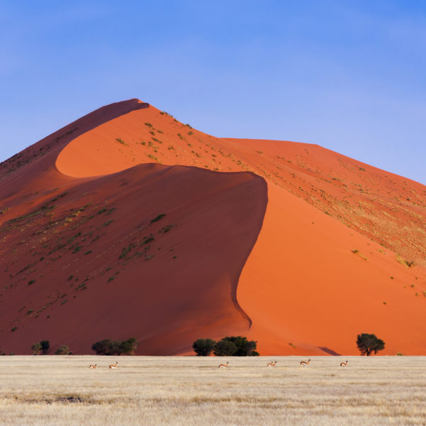 Sand dunes of the Namib Desert, Sossusvlei