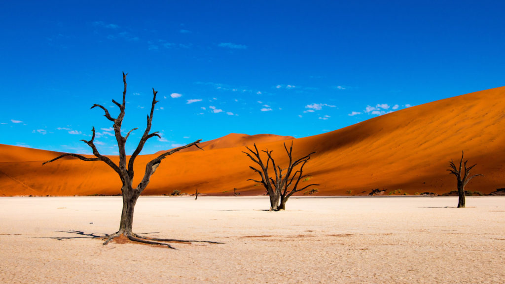 Discover soaring sand dunes and skeletal trees in Sossusvlei - Alfred&