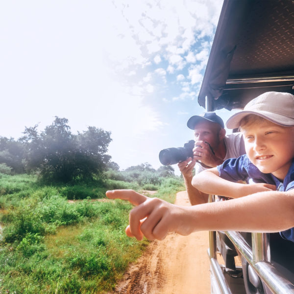 How to plan your dream family safari - Alfred