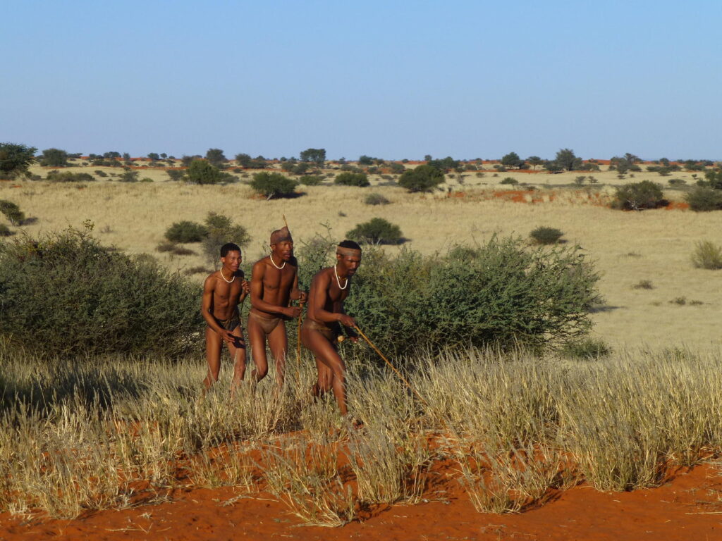 Bagatelle Kalahari Game Ranch Bushman experience