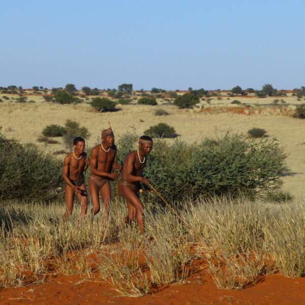 Bagatelle Kalahari Game Ranch Bushman experience