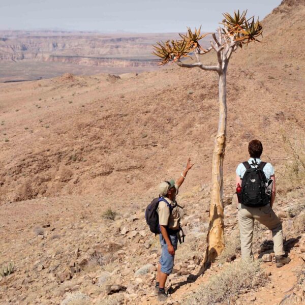 Guided hiking in Fish River Canyon