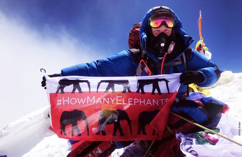 Holly Budge, adventurer and conservationist, summiting Mount Everest for charity, How Many Elephants