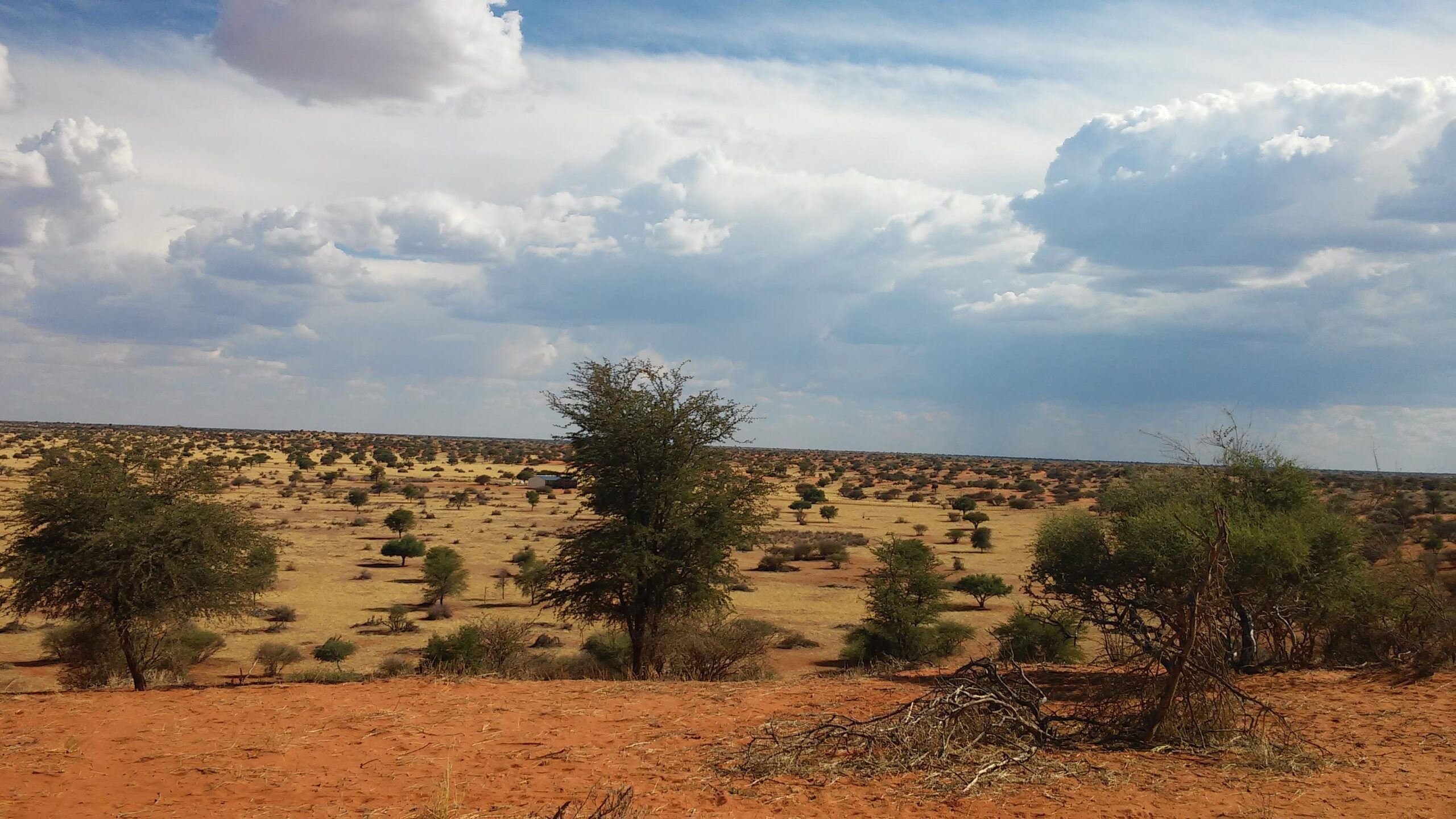 Kalahari Desert Namibia