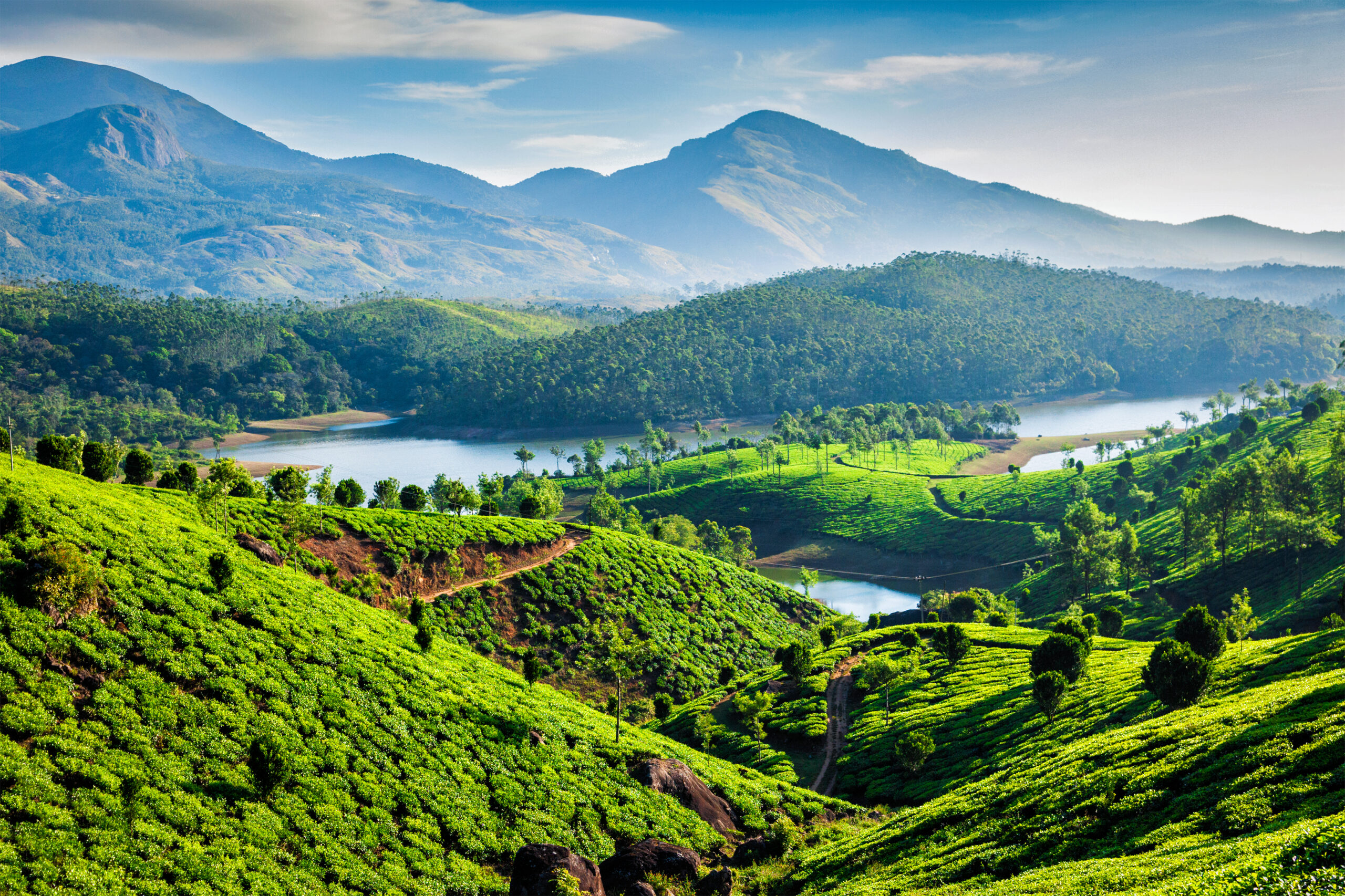 Munnar Tea plantations and river in hills. Kerala, India