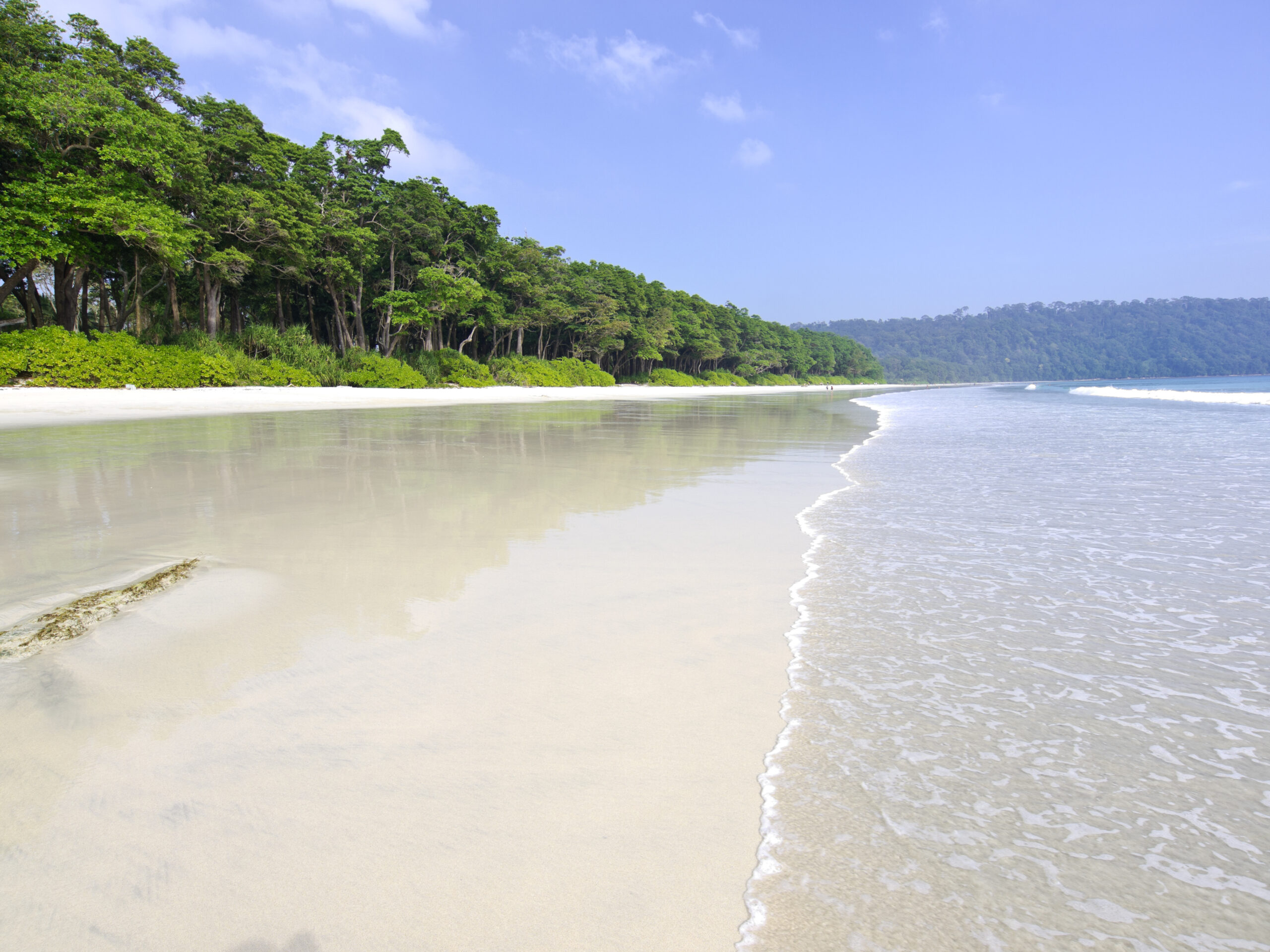 Radhanagar Beach Havelock Island Andamans