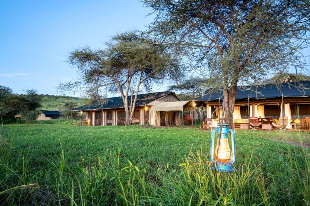 Enjoy staying in an immersive tented camp like Lemala Ewanjan when you take a tailor-made holiday with Aflred&