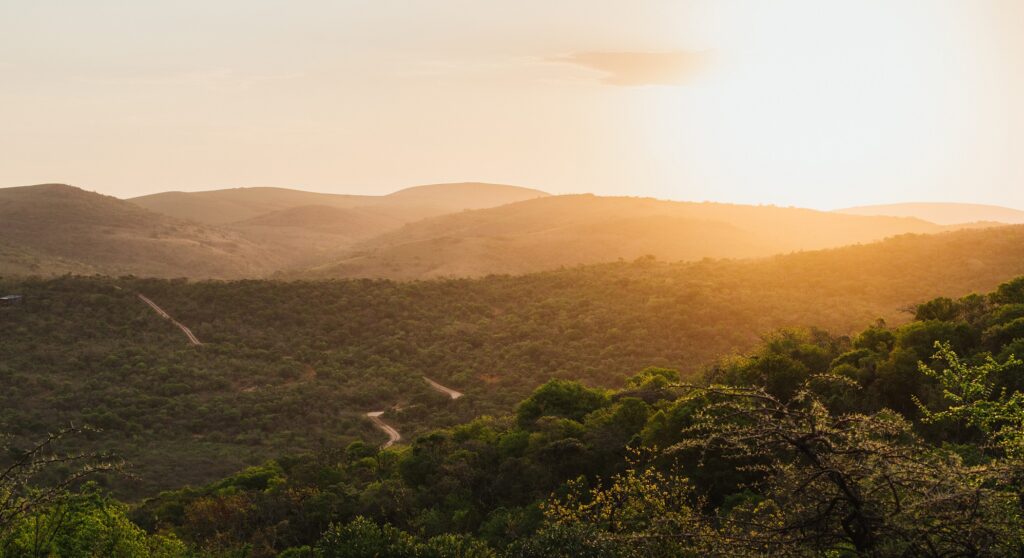 Enjoy spectacular scenery such as this forested landscape surrounding Rhino Ridge Lodge