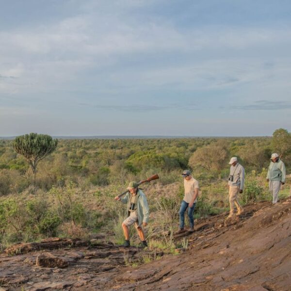 Immerse yourself into the bush like these explorers on a walking safari when you take a tailor-made holiday with Alfred&