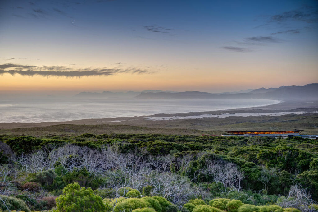 Explore a botanical wonderland such as this fynbos-clad coast, discovered on a safari in Grootbos Private Nature Reserve