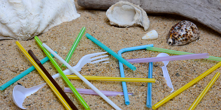 Single Use plastic on a beach