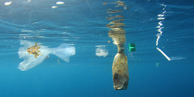 Plastic pollution in the ocean