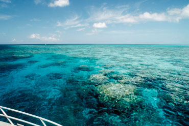 View of the reef from the deck