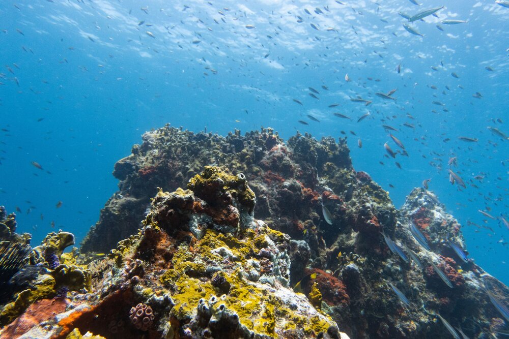 Grenada: an insider’s look at the Spice Isle | Travel Kuoni