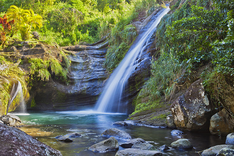 Grand Etang National Park Grenada