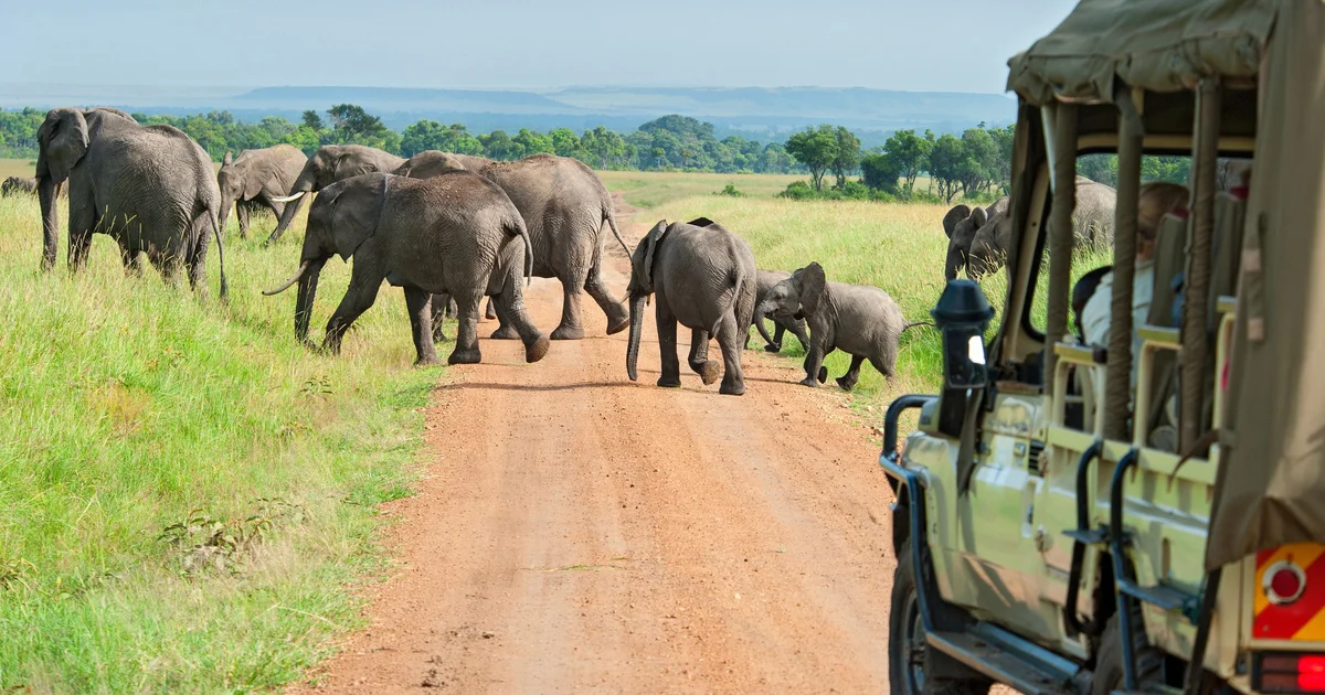 Our 10 Best Safari Experiences