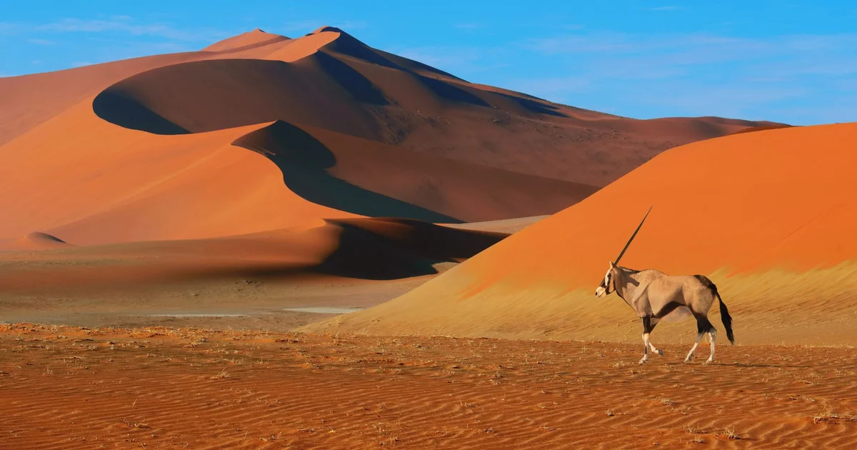 The Ultimate Guide To Touring Namibia | Travel Kuoni